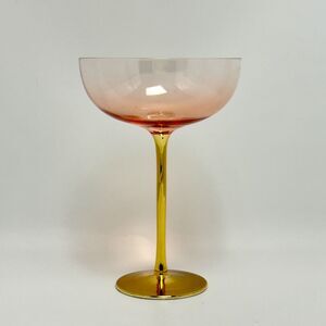 Coloured Champagne Coupe Stemware Martini Glass Large Sherbet Art Decor Glasses